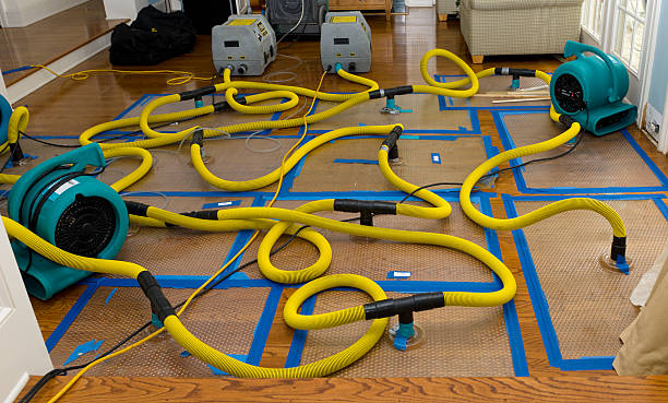 Professional Water Damage Restoration technician working in Twin Peaks, CA